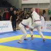 IMG 4190