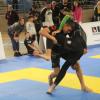 IMG 4267