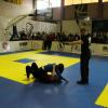 IMG 7579