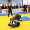 IMG 8836
