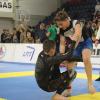 IMG 4224