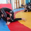 IMG 9996