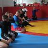 IMG 4867