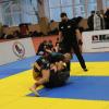 IMG 8865