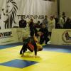 IMG 7960