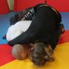 IMG 5173