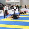 IMG 4307
