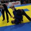 IMG 1191