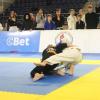 IMG 4086