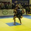 IMG 7534