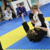 IMG 4095