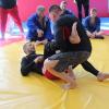 IMG 5292