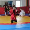 IMG 5250