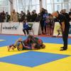 IMG 8597