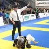 IMG 4097