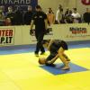 IMG 8491