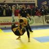 IMG 7814