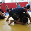 IMG 9571