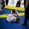 IMG 9573