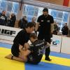IMG 8752