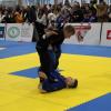 IMG 1173
