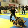 IMG 7797