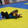 IMG 8797
