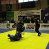 IMG 9067