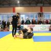IMG 8848