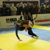 IMG 8271