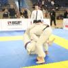 IMG 4247