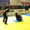 IMG 8071