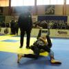 IMG 7593