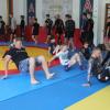IMG 9536