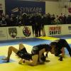 IMG 7585