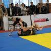 IMG 8480