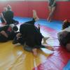 IMG 5117