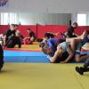 IMG 9744