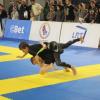 IMG 4249