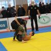 IMG 8557
