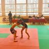 IMG 1413