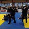IMG 1176