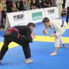 IMG 4229