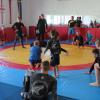 IMG 5069
