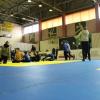 IMG 7395