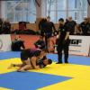 IMG 8782