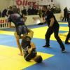 IMG 7804