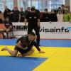 IMG 8810