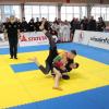 IMG 1001