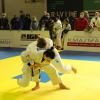 IMG 8853